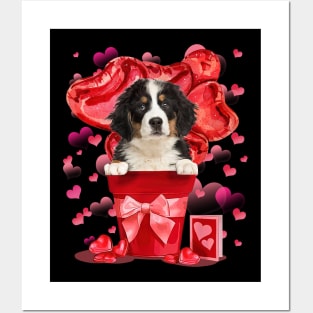 Bernese Mountain Dog In Red Pot Happy Valentine Posters and Art